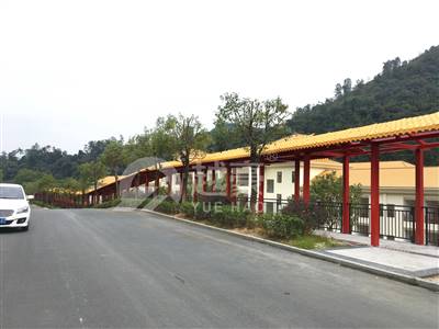 韶關乳源森林公園（土豪金）